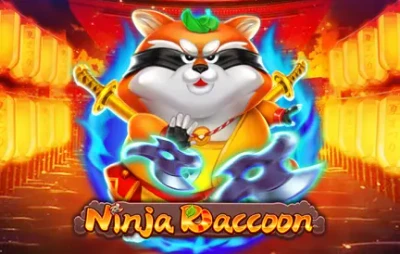 VABET Ninja Raccoon