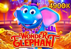 VABET Wonder Elephant