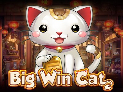 VABET Big Win Cat