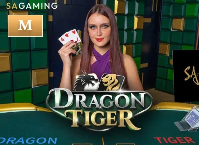 VABET M Dragon Tiger